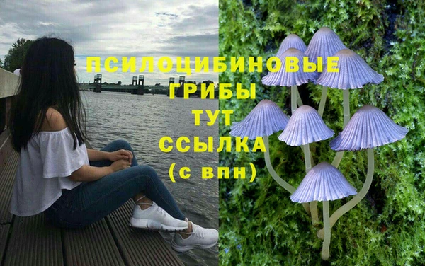 MESCALINE Ростов