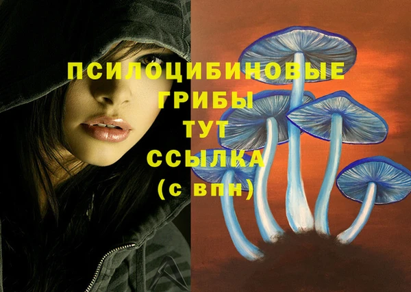 стафф Алексеевка