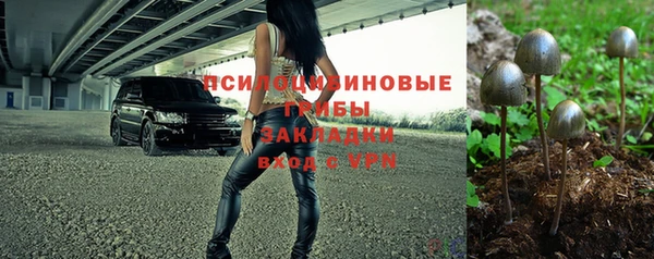ГАЛЛЮЦИНОГЕННЫЕ ГРИБЫ Алзамай
