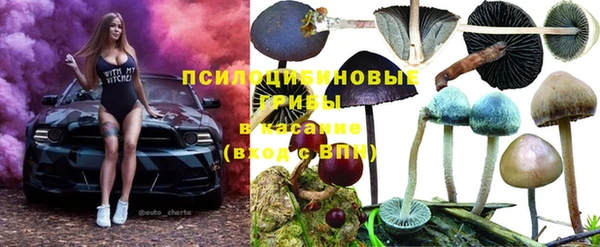 ГАЛЛЮЦИНОГЕННЫЕ ГРИБЫ Алзамай