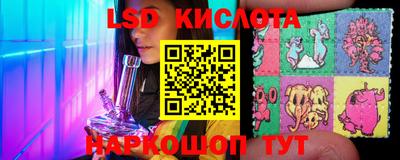 стафф Бийск