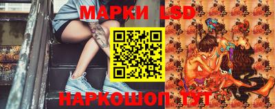 стафф Бийск