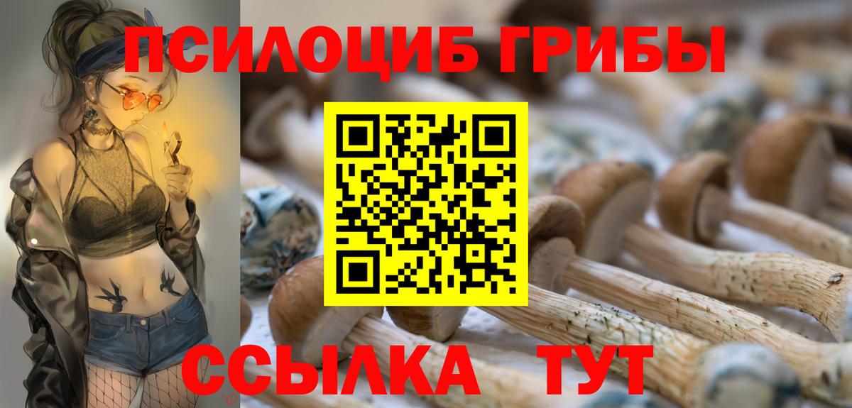 Псилоцибиновые грибы мицелий Карачаевск